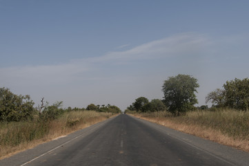 Fototapeta premium Carretera en la llanura africana, Gambia