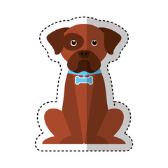 cute dog mascot isolated icon vector illustration design