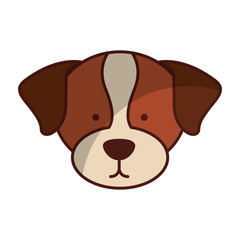 cute dog mascot head isolated icon vector illustration design