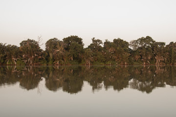 Navegando por el río Gambia