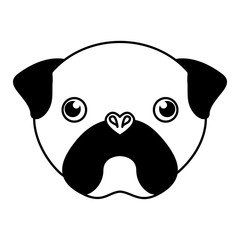 cute dog mascot head isolated icon vector illustration design