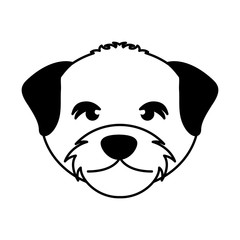 cute dog mascot head isolated icon vector illustration design