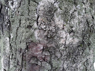 texture