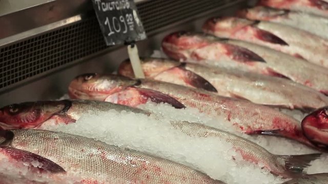 Fish Frozen In Ice At Market