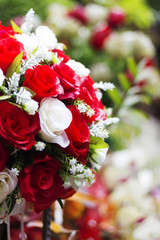Red roses for love for Valentine's Day.