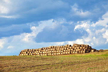 Agricultural field with a pile of haystacks on a background of blue sky with clouds.
