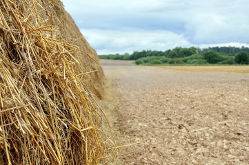 Agricultural field after harvest. Haystack close up in the foreground. Earthy field, forest and cloudy sky in the background.