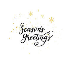 Season's Greetings card. Vector winter holiday background with hand lettering calligraphy, snowflakes, falling snow.