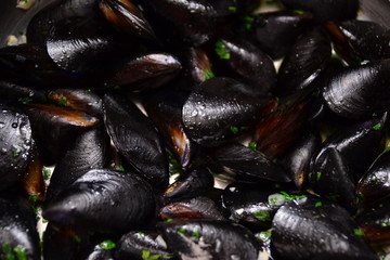 cooking mussels