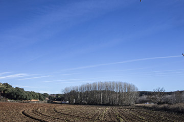 Campo en invierno en Castilla la Mancha