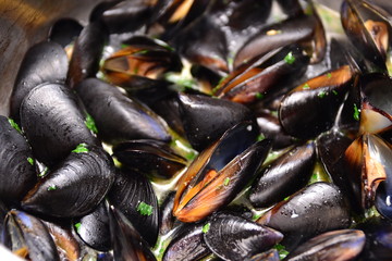 cooking mussels