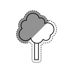 Isolated tree nature icon vector illustration graphic design