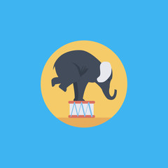circus elephant icon.flat design