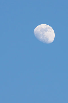 Half moon appear in the afternoon time in the sky.