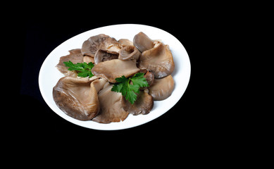Pickled Oyster Mushrooms on white plate isolated on black 