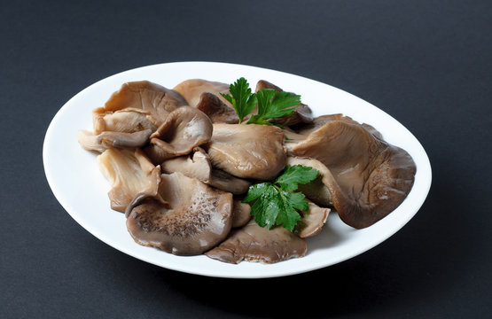 Pickled Oyster Mushrooms with parsley leaf on a white plate