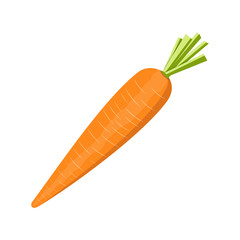 Carrot vegetable isolated on white