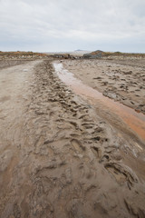 creek in Bogdino-Baskunchaksky reserve
