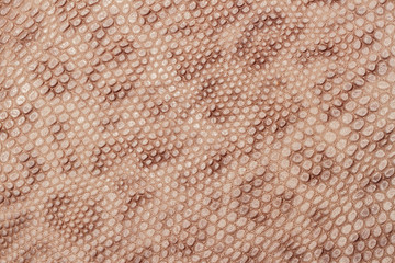 Spotted skin close up background, brown color leopard  imitation