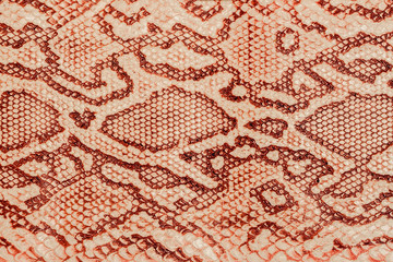 Texture of genuine leather close-up, embossed under the skin  a reptile, background