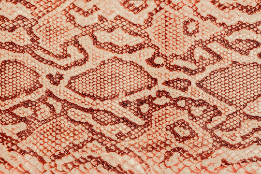 Texture of genuine leather close-up, embossed under the skin  a reptile, background