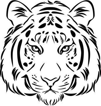Tiger head. Black and white outline