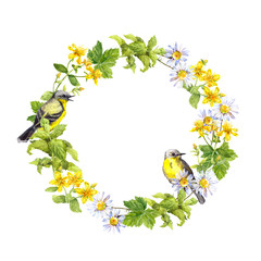 Obrazy  Obramowanie wieńca - wiosenne kwiaty, dzikie zioła, trawa. Rama akwarela koło