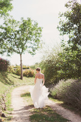 Beautiful bride on spectacular alley with lavender. Caucasian woman in white wedding dress walking in Tuscany.