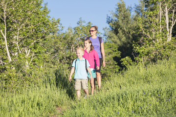 A front view of a young family hiking together in a beautiful mountain meadow trail. Lots of copy space. Full length photo