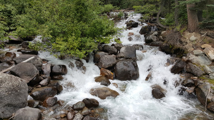 Fototapeta premium Rushing Stream