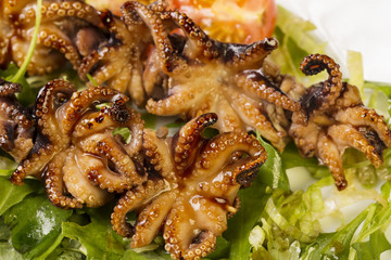 Close-up Barbecue baby octopus on white plate with herbs and tomatoes