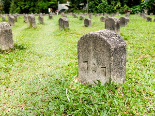 Tombs orderly rows