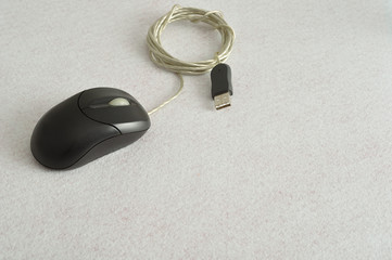 A black computer mouse isolated on a white background