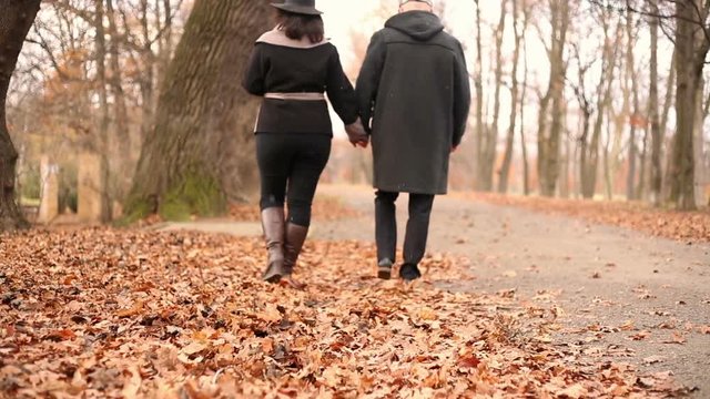 Couple walking on the pathway in the autumnal park and chatting back
