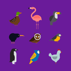 Birds vector set illustration isolated