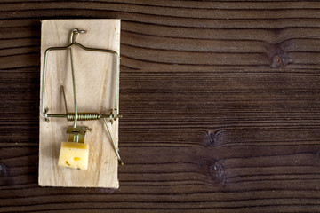 concept food for rodents in mousetrap wooden background top view