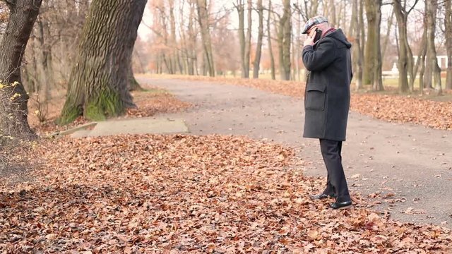 Grown man talking on cellphone, walking in the autumnal park
