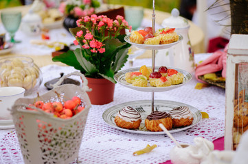 romantic dinner on the nature