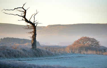 Frosty countryside - 131764831