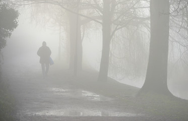Morning mist © Peter Cripps