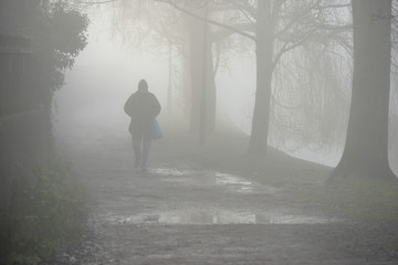 Morning mist © Peter Cripps