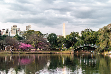 Fototapeta na wymiar Ibirapuera Park in Sao Paulo, Brazil (Brasil)