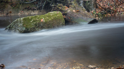 Tree Stump and Silky Stream