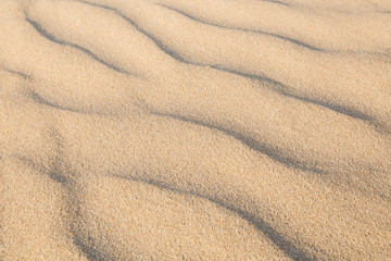 Fototapeta na wymiar Sand Texture in morning at koh lanta ,Thailand