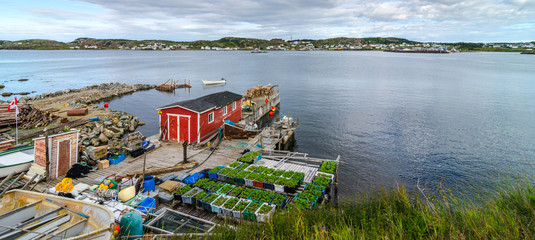 Red shack on a dock & garden boxes along Twillingate village shoreline.  View across the water to town,  Rural Newfoundland, Canada.