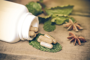 Organic Herb capsule medicine with mint leaves