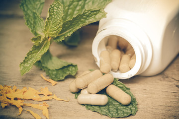 Organic Herb capsule medicine with mint leaves