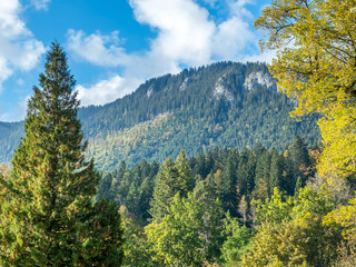 Beautiful landscape view of Germany