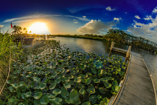 Everglades Sunset