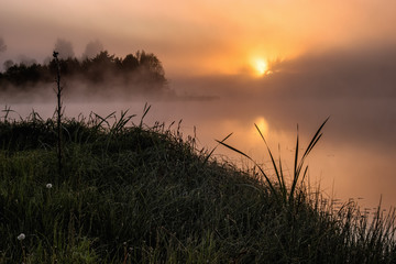Obraz premium Foggy lake in the morning, Latvia, Summer.